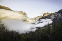 Vista elevada de niebla sobre bosque del valle con rocas iluminadas por el sol - foto de stock