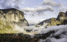 Повышенный вид тумана над лесом долины, Национальный парк Йосемити, Калифорния, США — стоковое фото