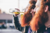 Perfil de gemelos hipster varones jóvenes con pelo rojo y barba bebiendo cerveza embotellada - foto de stock