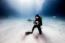 Подводный взгляд на женщину подводный фотограф, оглядываясь назад с морского дна — стоковое фото