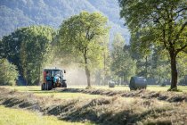 Tractor harvesting in field — Stock Photo