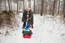 Бабусі і дідусі тягнуть онука на болотого в снігу — стокове фото