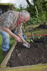 Homem sênior, plantando mudas no jardim — Fotografia de Stock