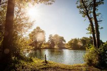 Trees growing by rural lake — Stock Photo
