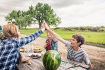 Junge Frau und Freunde geben High Five am Picknicktisch — Stockfoto