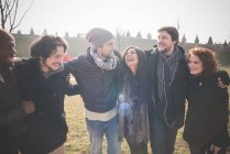 Cinco amigos adultos jóvenes en el parque - foto de stock