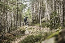 Donna mountain bike nel bosco, Bolzano, Alto Adige, Italia — Foto stock