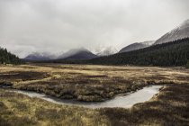 Kananaskis land, bow Valley provincial park, kananaskis, alberta, canada — Stockfoto