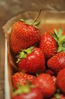 Close up shot of freh strawberries in box — Stock Photo