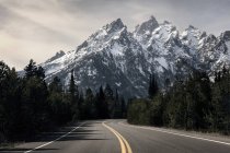 Strada tortuosa vuota con pini e rocce innevate — Foto stock