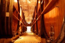 Wooden wine barrels — Stock Photo