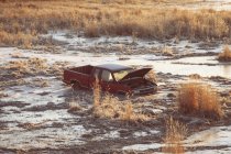 Пикап застрял в болоте при солнечном свете — стоковое фото