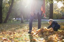 Padre e hijo jugando con hojas de otoño - foto de stock