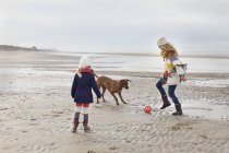 Взрослая женщина с дочерью и собакой, играющая в футбол на пляже, Bloemendaal aan Zee, Нидерланды — стоковое фото
