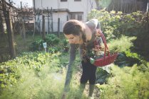 Junge Frau pflegt Pflanzen im Garten — Stockfoto