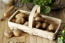 Patatas crudas en cesta - foto de stock