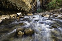 Man standing in river taking photograph, rear view, The Narrows, Zion National Park, Zion, Utah, USA — Stock Photo