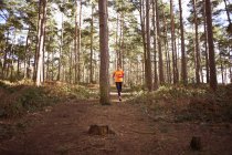 Mujer madura corriendo por un bosque - foto de stock