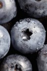 Close up shot of fresh blueberries with water drops — Stock Photo