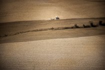 Traktor im Feld, siena, valle orcia, toskana, italien — Stockfoto