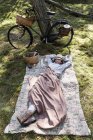Зріла жінка-підробка відпочиває на ковдрі в лісі — стокове фото