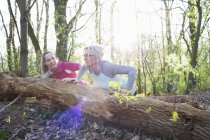 Frauen im Wald machen Liegestütze gegen umgestürzten Baum — Stockfoto