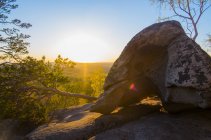 Boulder et arbre tombant sur la roche au coucher du soleil sur la forêt — Photo de stock