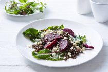 Stillleben von Linsen, Roter Bete und Feta-Salat — Stockfoto