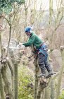 Tree surgeon working up a tree using chainsaw — Stock Photo