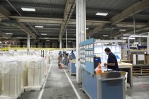 Trabajadores en el interior de fábrica de embalaje de papel - foto de stock