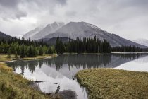 Kananaskis Country, Bow Valley Provincial Park, Кананаскис, Альберта, Канада — стоковое фото