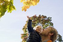 Father and son looking up at autumn trees — Stock Photo