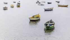 Grupo de botes de remos anclados, Manguinhos, Buzios, Río de Janeiro, Brasil - foto de stock