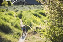 Rear view of little boy cycling in park, Sandy, Utah, USA — Stock Photo