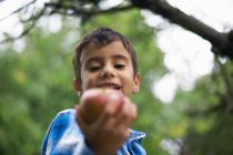 Criança masculina no jardim segurando uma maçã — Fotografia de Stock