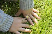 Close up of Hands touching grass — Stock Photo