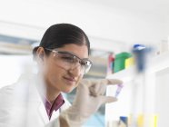Cientista feminina visualizando amostra em eppendorf antes do teste de DNA em um laboratório
. — Fotografia de Stock