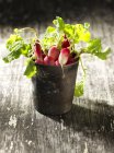 Fresh picked radishes in vintage metal pot — Stock Photo