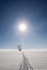 Empreintes de pas dans un paysage ensoleillé enneigé, Berg, Bavière, Allemagne — Photo de stock