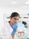 Mujer joven científica que observa el deslizamiento de sangre durante las pruebas clínicas de muestras médicas en un laboratorio - foto de stock