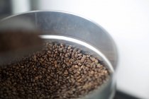 Granos de café frescos en estaño tostado - foto de stock