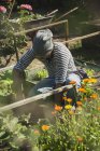 Jardinier travaillant sur patch de légumes — Photo de stock