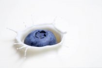Éclaboussures de bleuets frais sur la surface du lait — Photo de stock