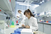 Biology female lab technicians at work — Stock Photo