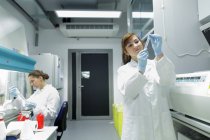 Técnicos de laboratorio de biología mirando las muestras de prueba - foto de stock