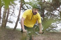 Masculino mountain biker na floresta — Fotografia de Stock