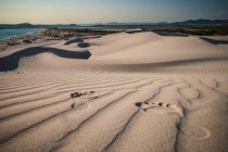 Відбитки слідів на пляжному піску в яскравому сонячному світлі — стокове фото