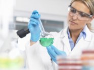 Cientista que vê a experiência química em um laboratório — Fotografia de Stock