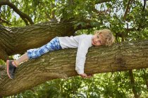 Niño acostado en rama de árbol forestal - foto de stock