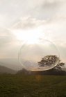 Велика бульбашка плаває в повітрі на заході сонця небо — стокове фото